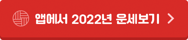 앱에서 2022년 운세보기